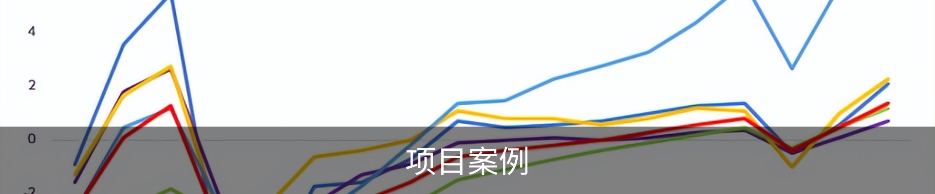 项目案例